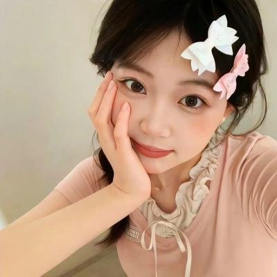 检查员